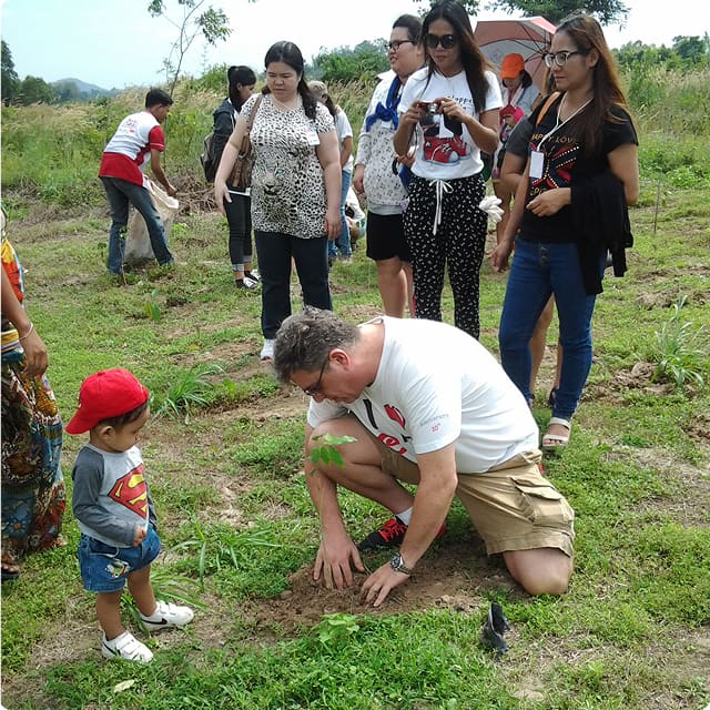 Tree Planting Tree Planting